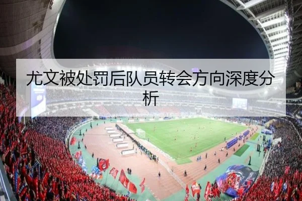 尤文被处罚后队员转会方向深度分析